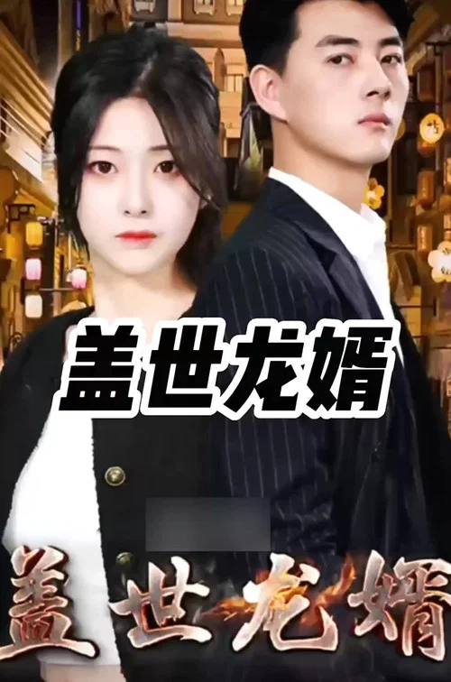 盖世龙婿(2023)海报