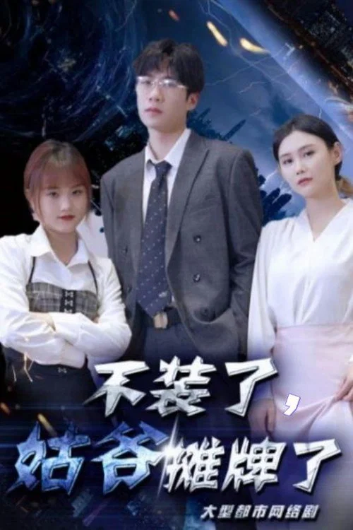 不裝了,姑爺攤牌了(2024)海報