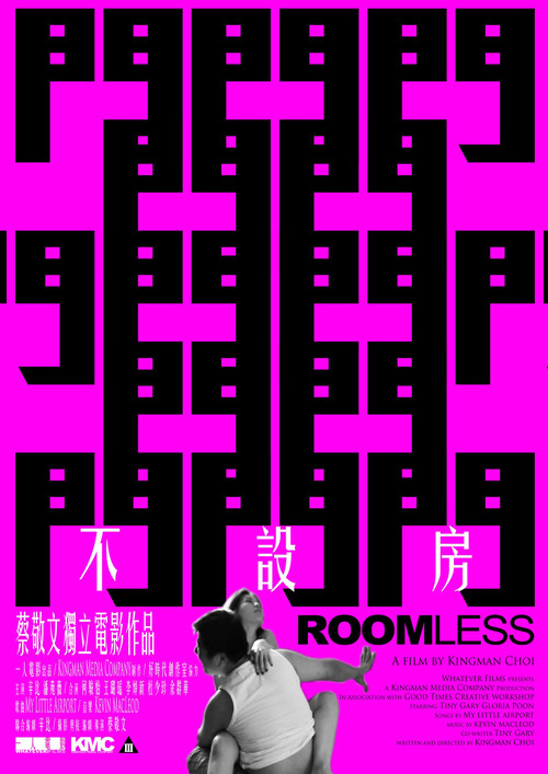 不設房(2011)海報