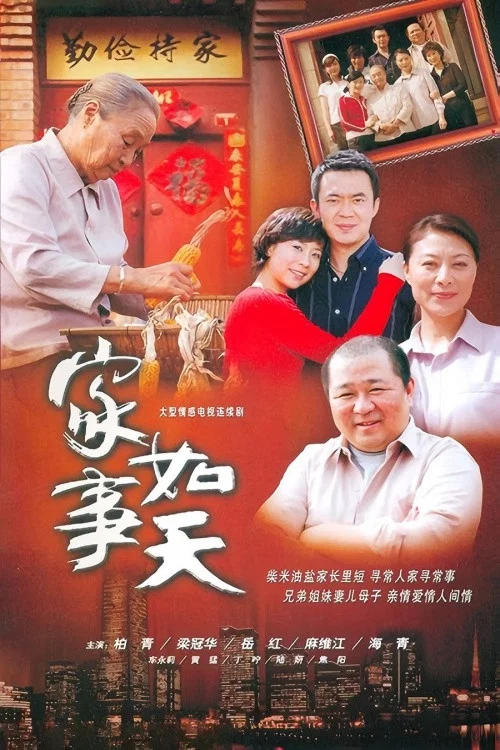 家事如天(2007)海报