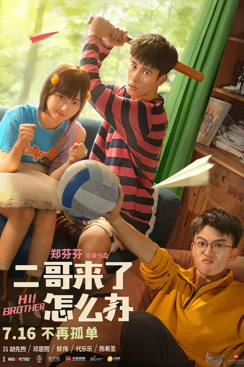 二哥来了怎么办海报