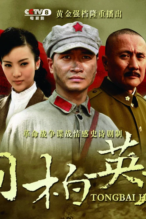 桐柏英雄(2013)海報