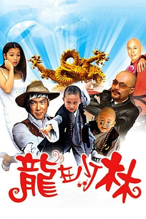 龍在少林(1996)海報
