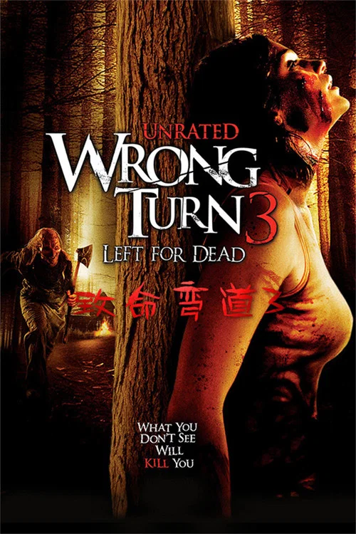 致命弯道3(2009)海报
