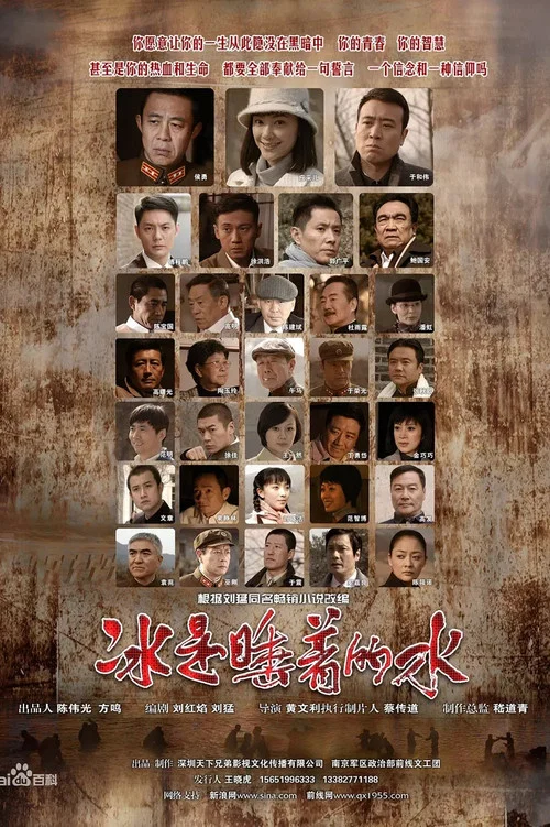 冰是睡着的水(2010)海报