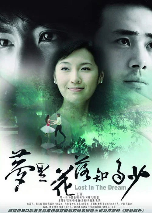 夢裡花落知多少(2007)海報
