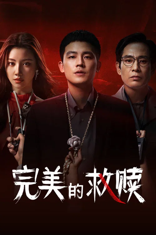 完美的救赎剧照4