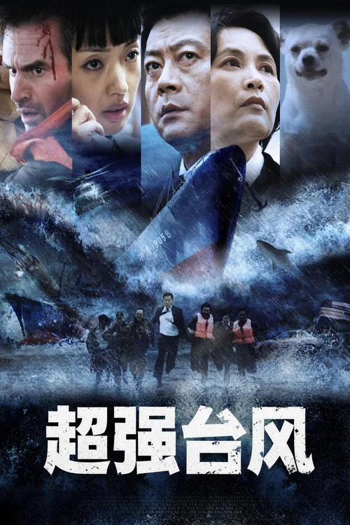 超強颱風(2008)海報