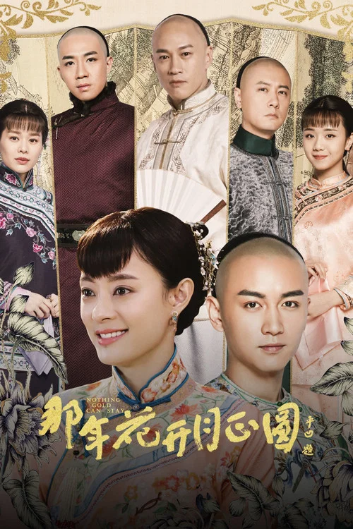 那年花开月正圆海报