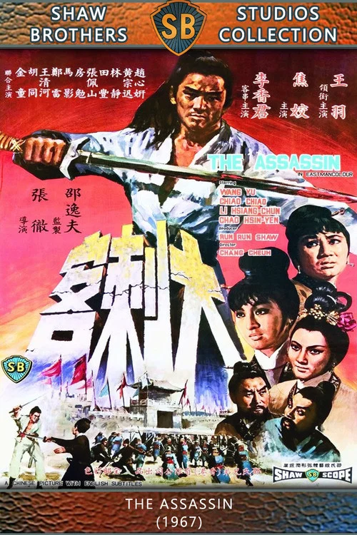 大刺客剧照2