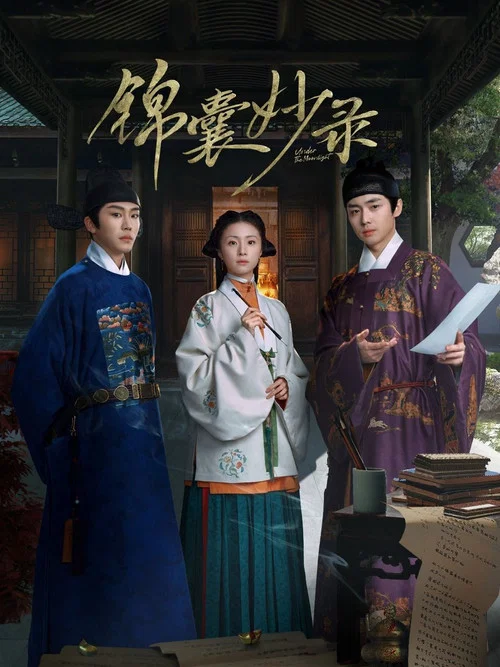 锦囊妙录剧照9