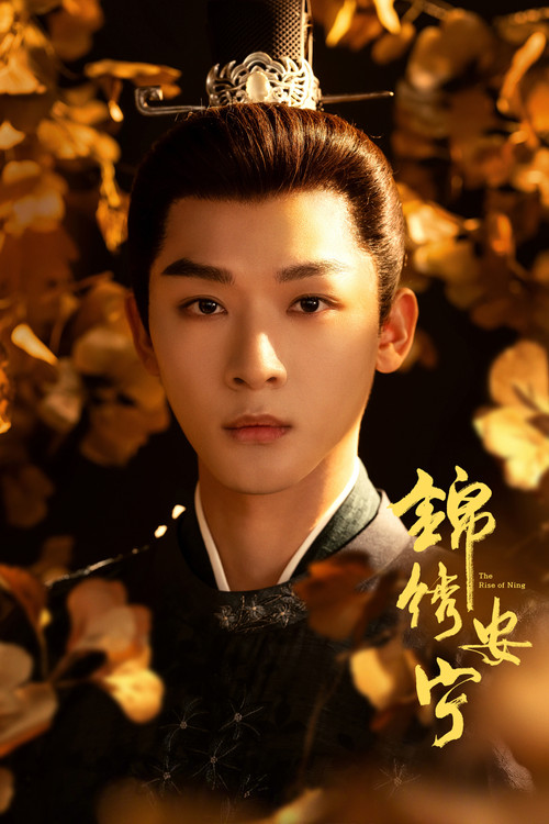 锦绣安宁剧照3