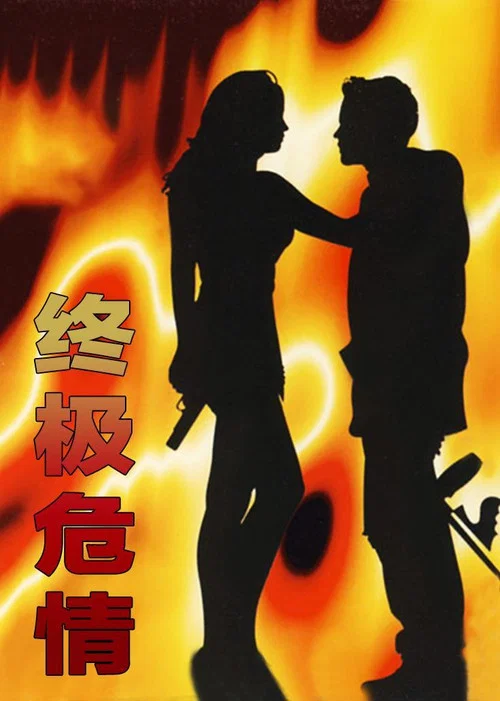 終極危情(1994)海報