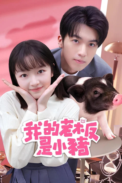 我的老板是小猪剧照2