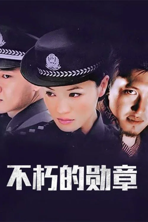 不朽的勋章(2003)海报
