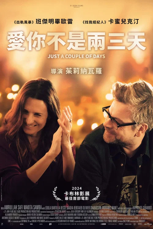 不是你不愛你(2024)海報