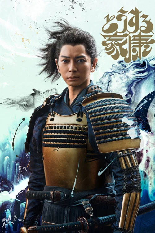 怎么办家康(2023)海报