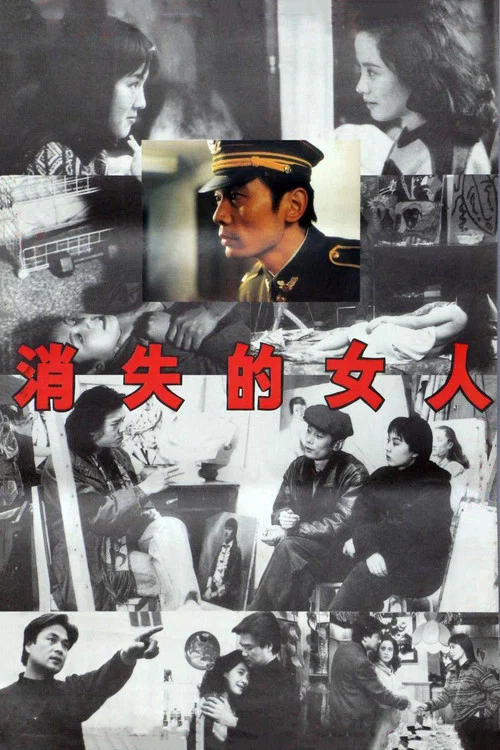 消失的女人(1993)海报
