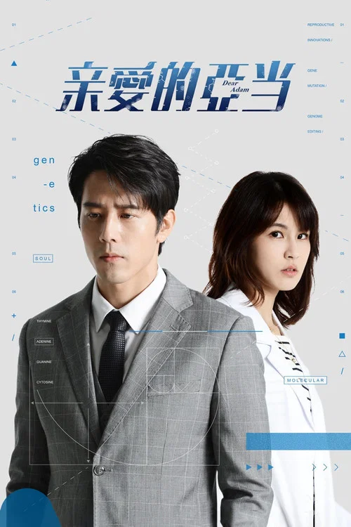 亲爱的亚当(2022)海报
