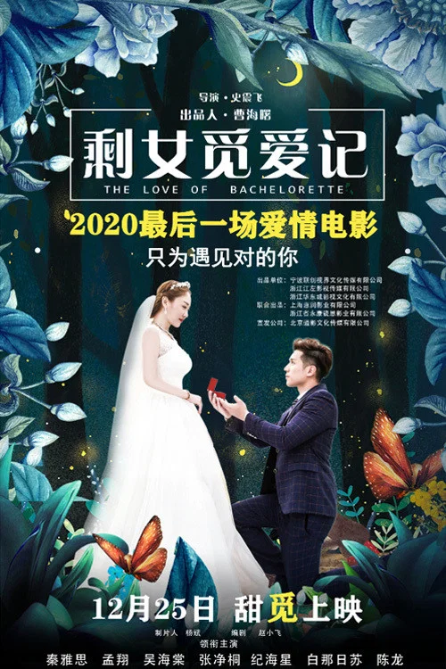 剩女覓愛記(2020)海報