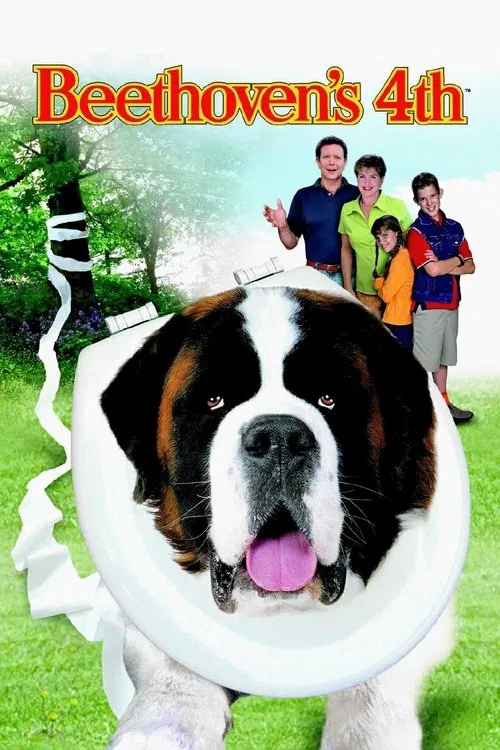 無敵當家4(2001)海報