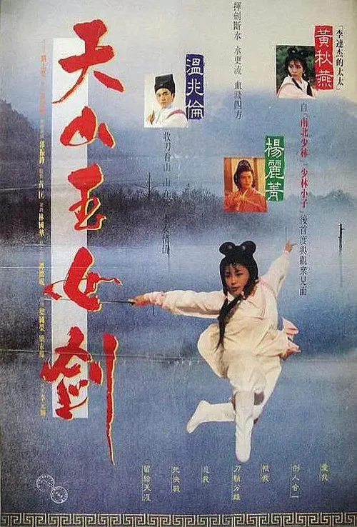 天山玉女劍(1993)海報