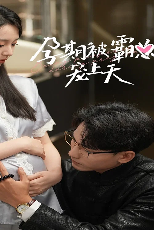 孕期被霸總寵上天(2024)海報