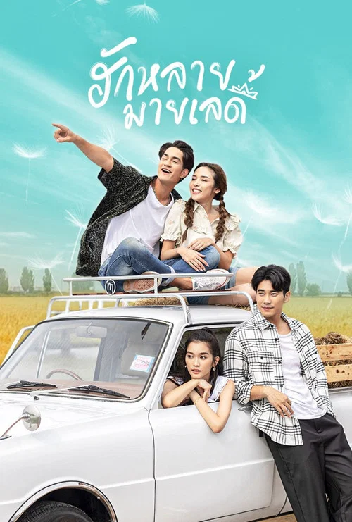 亲爱的女士(2023)海报