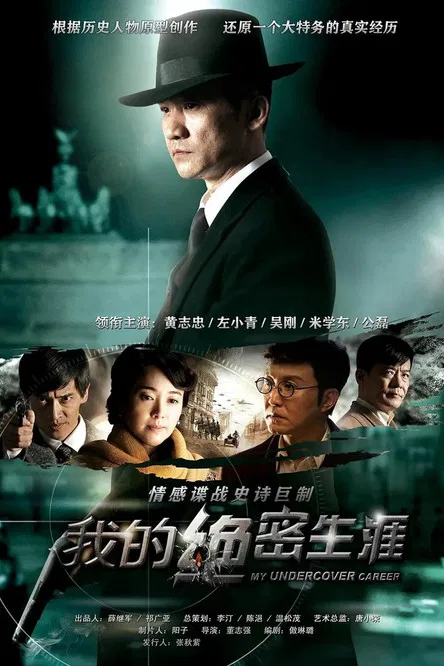 我的絕密生涯(2015)海報