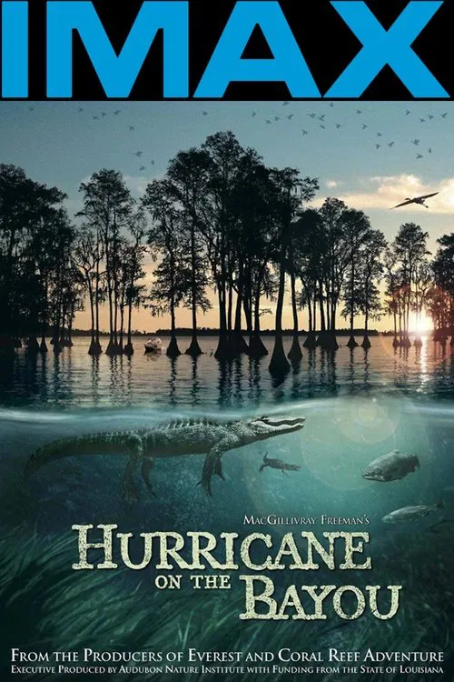 海湾的飓风(2006)海报