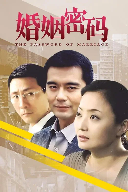 婚姻密码(2007)海报