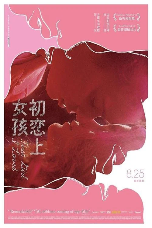我的初戀女孩(2016)海報