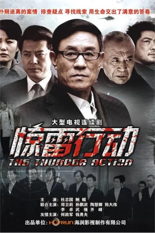 惊雷行动(2014)海报