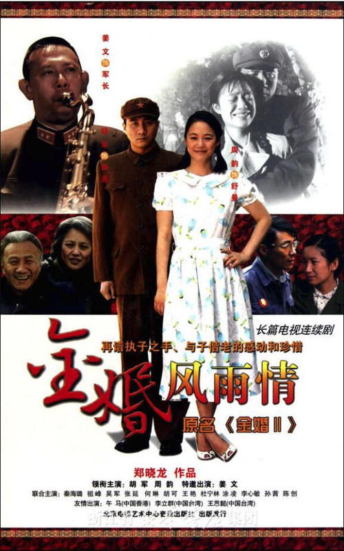 金婚·风雨情(2010)海报