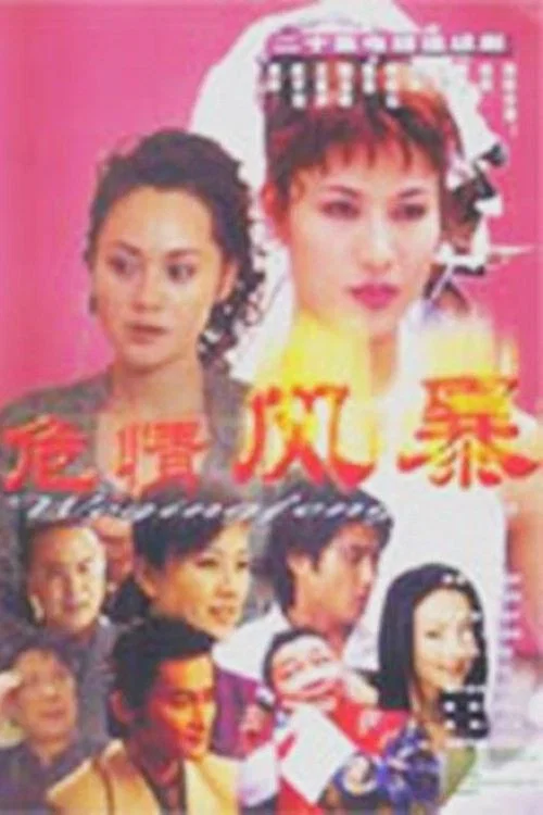 危情风暴(2001)海报