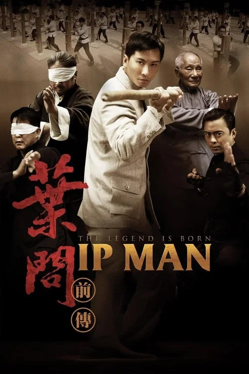叶问前传(2010)海报