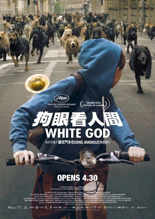 白色上帝(2014)海報