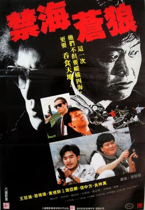 禁海苍狼(1991)海报