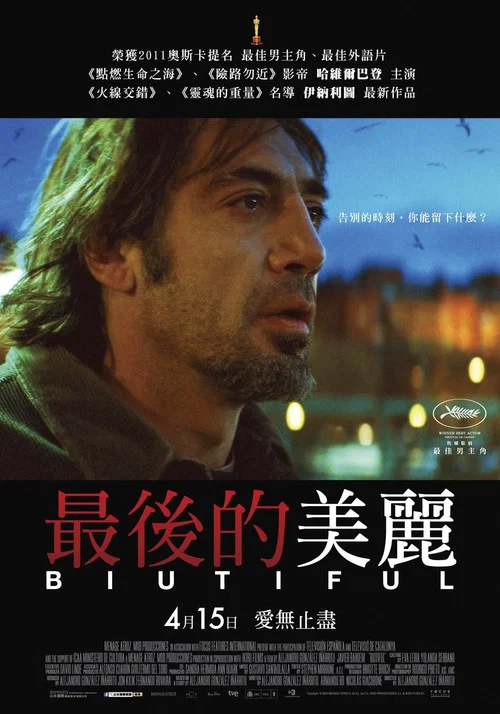 美错(2010)海报