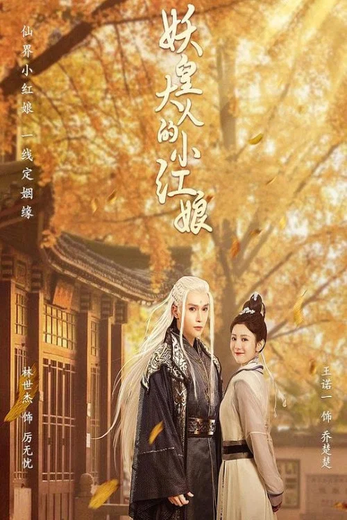 妖皇大人的小紅娘(2022)海報