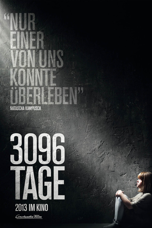 3096天(2013)海報