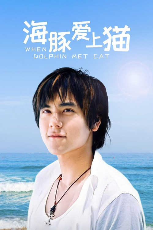海豚爱上猫(2005)海报