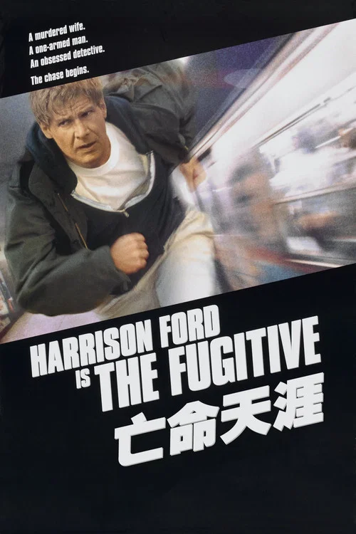 亡命天涯(1993)海报