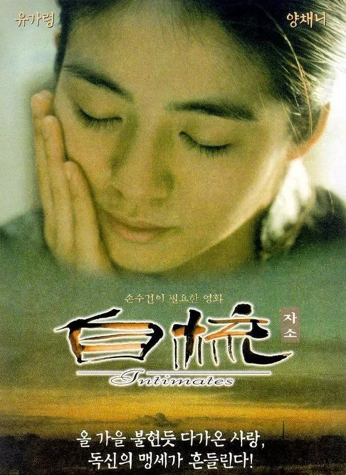 自梳(1997)海报