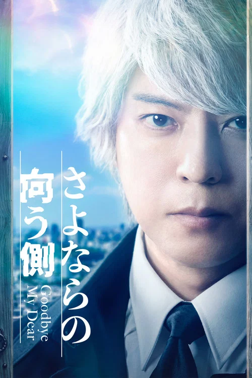 再见的对面(2022)海报