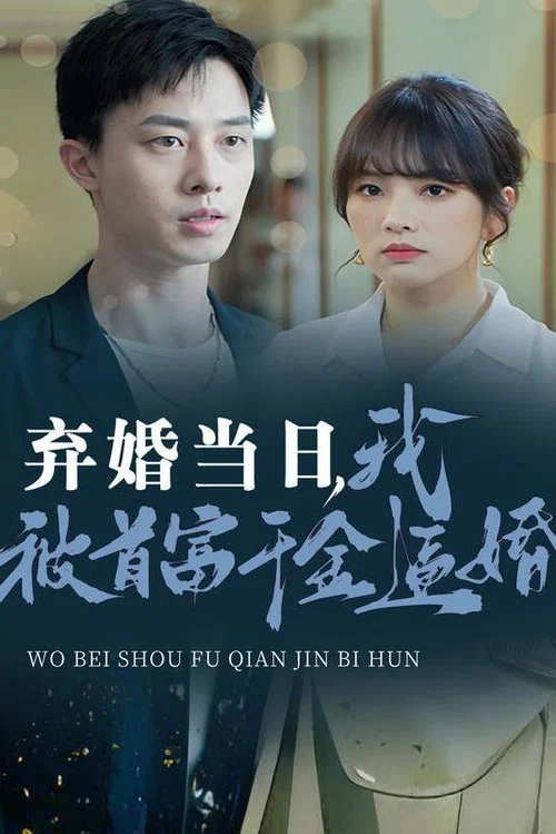 弃婚当日,我被首富千金逼婚(2023)海报