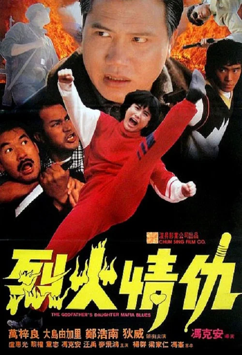 烈火情仇(1991)海報