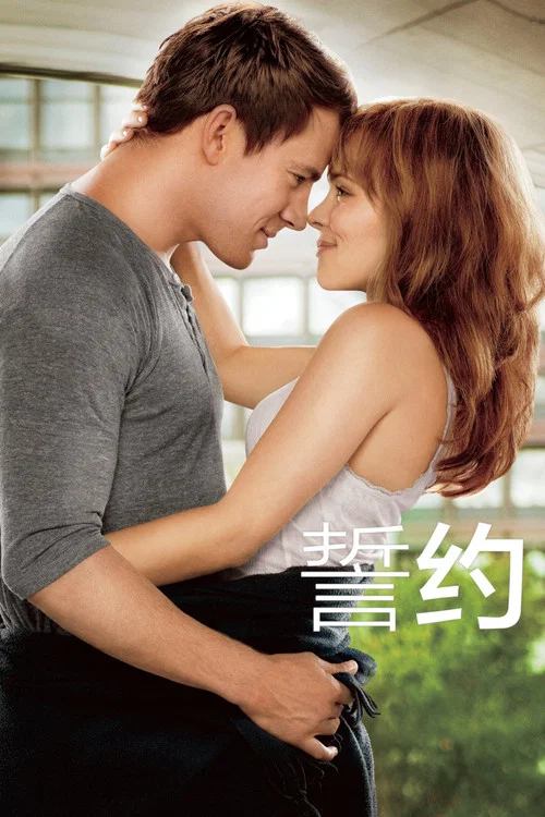 誓約(2012)海報