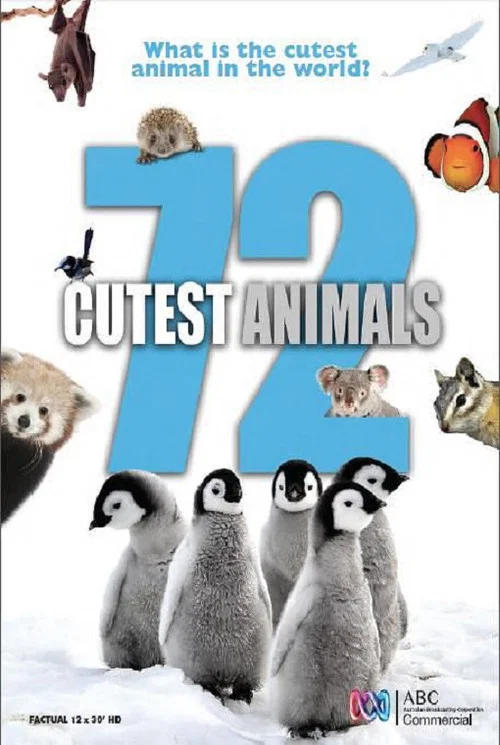72大可愛動物(2016)海報