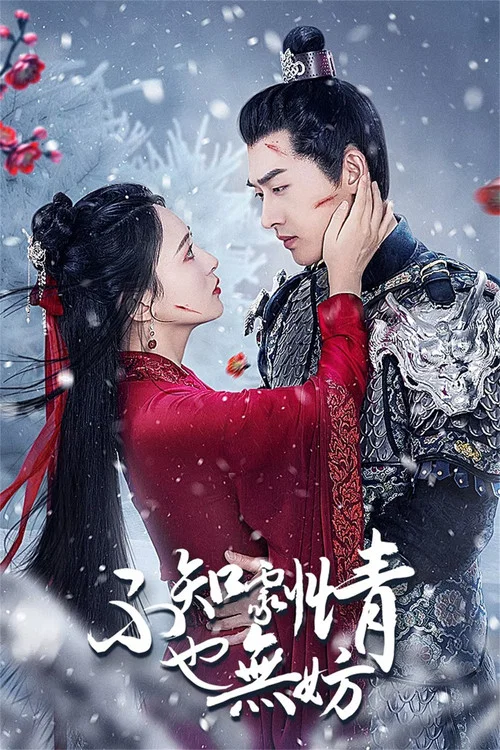 不知劇情也無妨(2024)海報